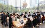 怎么在icloud查找我的iphone（icloud查找我的iphone使用方法）