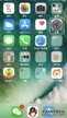 苹果双击截屏怎么设置方法（苹果iphone手机设置双击截图的技巧）