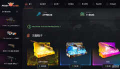 csgo开箱网址大全真实（2022本土csgo开箱网站大全）
