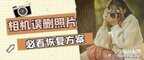 相机图片删除怎么恢复（相机误删照片恢复的步骤）