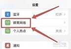 苹果手机怎么看流量使用情况（看iphone上月已用蜂窝数据的方法）