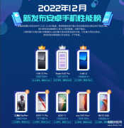 中关村在线手机排行榜最新（鲁大师发布12月手机性能排行榜）