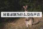 录屏怎么没有声音（录屏加声音的方法）