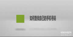 苹果手机怎么查看本机号码（苹果手机查看本机号码的方法）