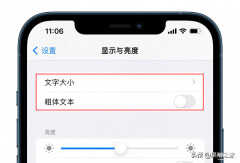 苹果手机怎么设置字体大小加粗（iPhone可快速调节字体大小步骤）