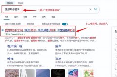 苹果蓝牙耳机怎么查真伪鉴别（检测苹果耳机是否正品方法）