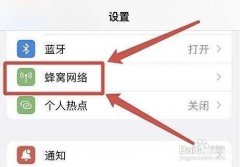 苹果怎么看流量使用情况（查看已用蜂窝数据的方法）