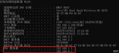 什么是dns（DNS设置操作方法）