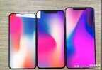 苹果十一多大尺寸（iPhone11系列尺寸大小）