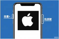 苹果11快速截屏的方法（iPhone 11多种截图方式详解）