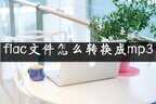 flac文件怎样转为mp3(flac转换mp3格式两种方法)