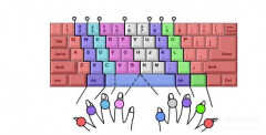 键盘手指分布图（电脑打字正确手指位置）