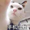 镜像投屏怎么弄（快速手机投屏方法）
