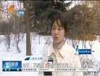vivo官网首页登录找回手机（找回丢失的vivo手机方法）