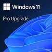 win11专业版密钥怎么购买(正版Win11专业版价格和购买方法介绍)