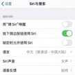 siri为什么没有语音回应（Siri 无回应的处理方法）