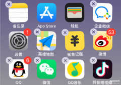 苹果手机怎么卸载软件不在桌面（苹果手机卸载软件方法）