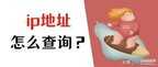 本机ip查看方法（查询IP地址就看这3种方法）