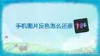 手机怎么把图片反色（手机图片反色还原教程）