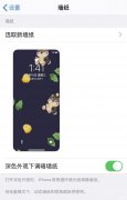 iphone手机照片怎么缩小做屏保（苹果手机设置壁纸的技巧）