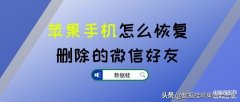 苹果手机怎么恢复删除的微信好友?（误删好友的找回方式）