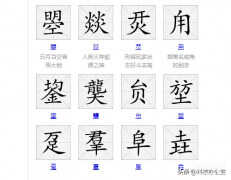 手机上怎么打生僻字（手机上生僻字的输入技巧）