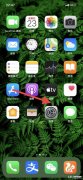 苹果手机清理缓存后无法上网（苹果手机能打电话却无法上网解决方法）