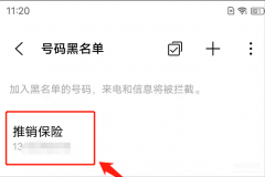 怎么设置陌生号码来电拦截（阻止骚扰电话的设置方法）