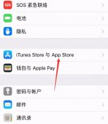 苹果手机软件自动更新怎么关闭（iPhone禁止APP自动更新的详细步骤）