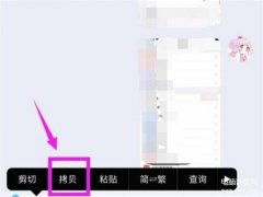 剪贴板怎么打开手机（苹果手机查看剪贴板方法）