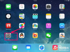 ipad激活日期查询免费(ipad查激活时间的操作方法)