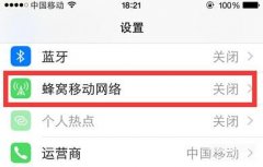 您的iphone尚未接入互联网怎么办（iPhone连不上移动网络的处理方法）