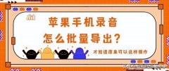 iphone录音怎么导出（把苹果手机录音导出来方法）
