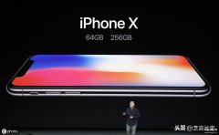 手机打电话开免提才有声音（iPhone X突然没了声音处理方法）