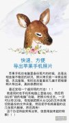 苹果手机怎么导出照片（到处iPhone收集图片的详细步骤）