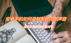 怎么录制手机内部声音oppo（安卓手机录制系统内部声音方法）