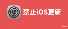 苹果系统更新的小红点怎么去掉（屏蔽iOS16系统更新，去除小红点方法）