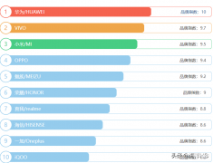口碑最好的手机前十位（2023年中国手机10top）