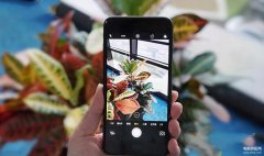 苹果相机怎么延迟三秒（iPhone摄影初学者指南）