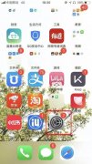 苹果开热点别人无法加入网络（iPhone手机连不上热点解决方法）