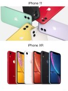 xr跟11建议买哪个颜色(11与XR的分析对比与选购建议)