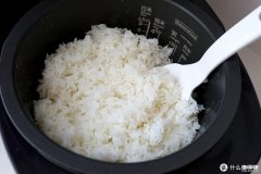 压力电饭锅怎么样（电饭煲选购指南）