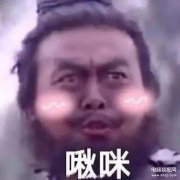 苹果手机从哪里下载东西（iPhone手机下载网站上的视频方法）
