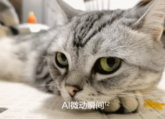 华为手机如何拍动态照片（华为拍照的高级技巧）