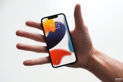 苹果手机的尺寸是多少（iPhone手机屏幕的详细讲解）