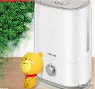 空气加湿器十大品牌都有哪些（空气加湿器十大品牌介绍）