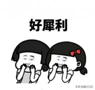 手机音质好的品牌（公认音质好的4款手机）