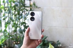 小米和荣耀哪个性价比高（荣耀70对比小米12X）