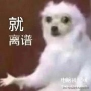 为什么手机开不了机了（手机死机的解决办法）