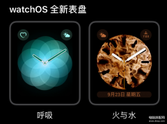苹果手表抬腕唤醒不了怎么办（延长Apple Watch的电池寿命方法）